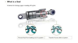 What Really Caused This Hydraulic Seal Failure?