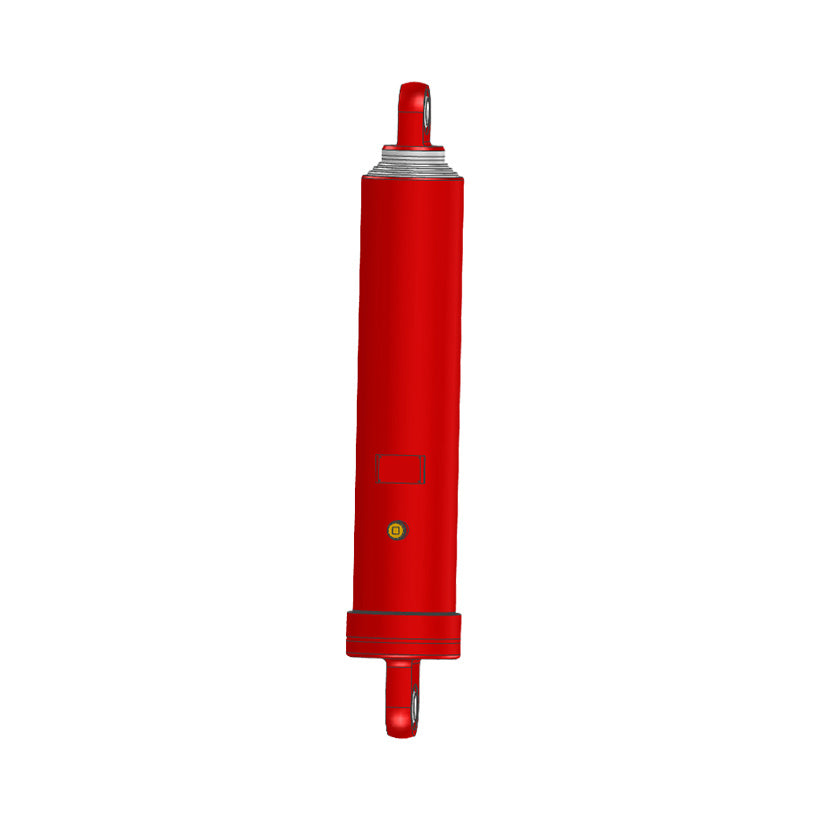 Hot Selling Customized Ee Type Piston Hydraulic Cylinder Hot Selling Customized