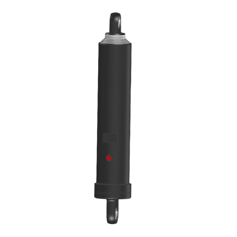 Hot Selling Customized Ee Type Piston Hydraulic Cylinder Hot Selling Customized